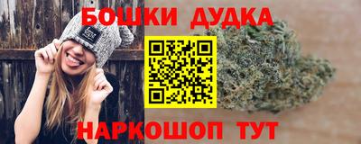 PSILOCYBIN Шелехов