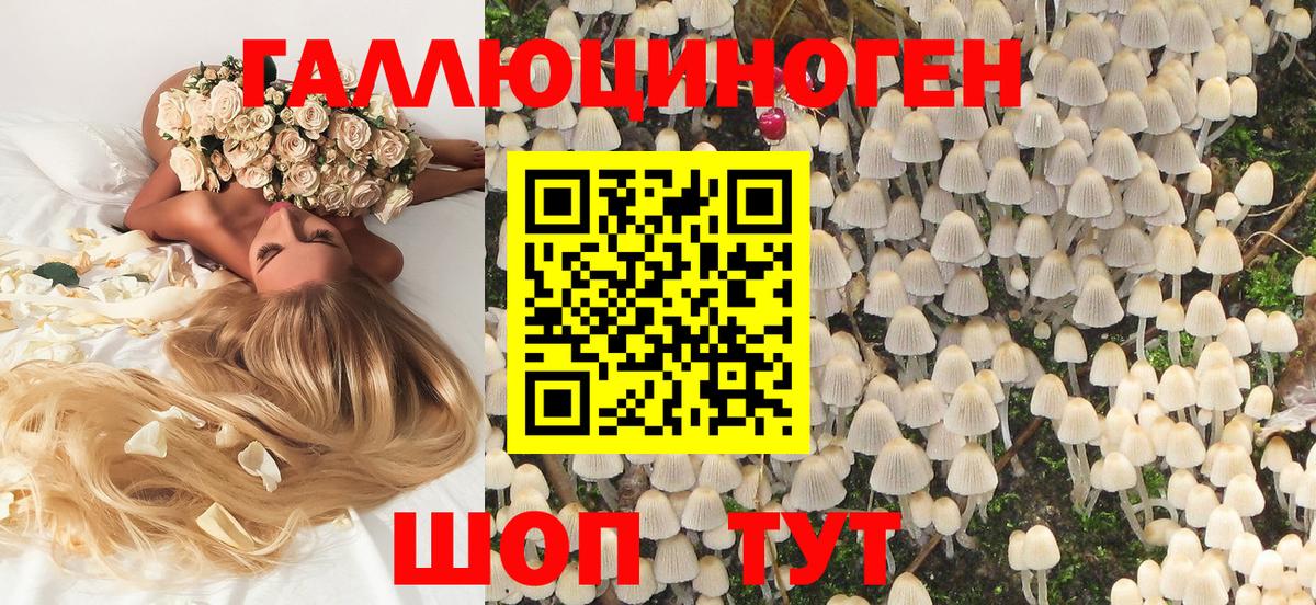 Галлюциногенные грибы прущие грибы Корсаков