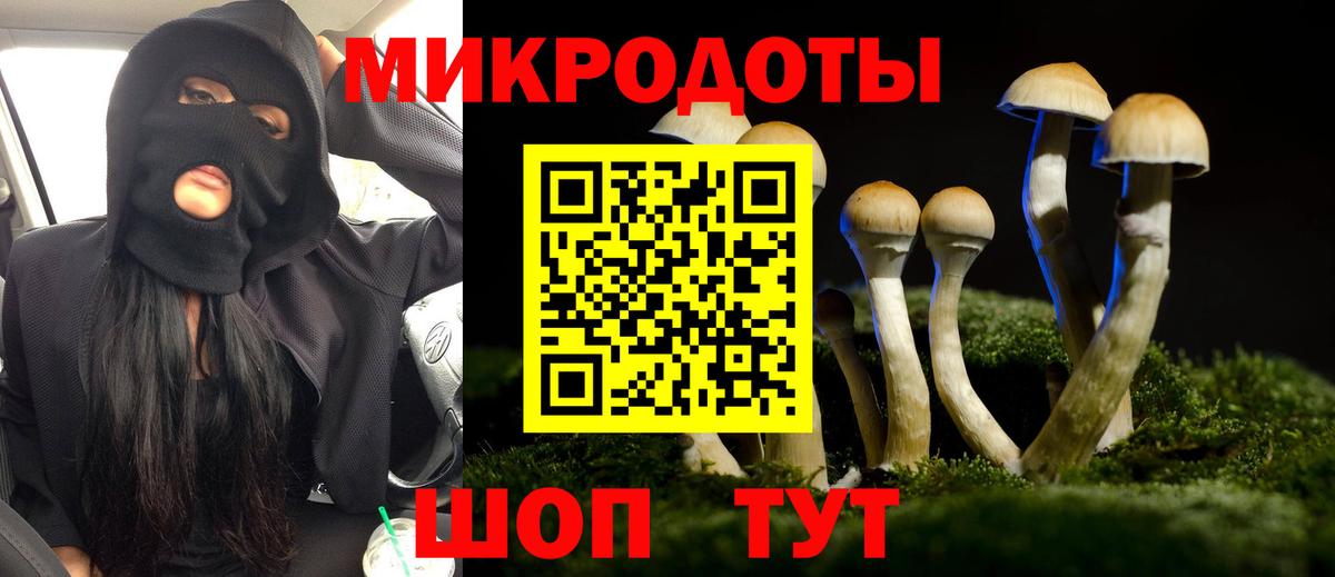 Корсаков  Псилоцибиновые грибы прущие грибы  Вход с VPN 